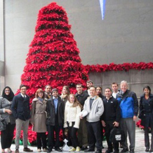 red tree